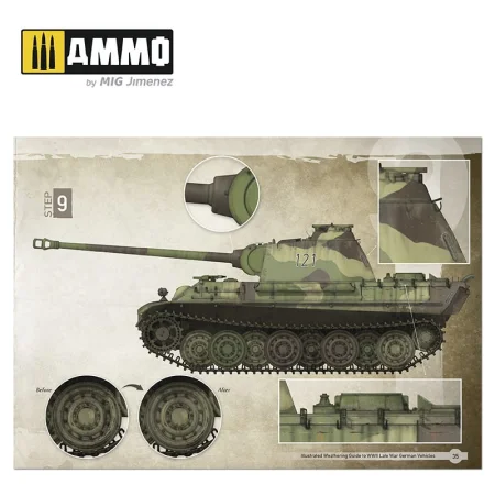 AMIG6015 (3).jpg