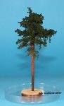 FREON SOD3 - Pine - ht. 8-12 cm