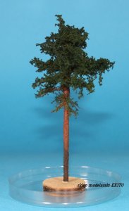 FREON SOD3 - Pine - ht. 8-12 cm