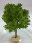 FREON KL2 - Maple - ht. 14-16 cm