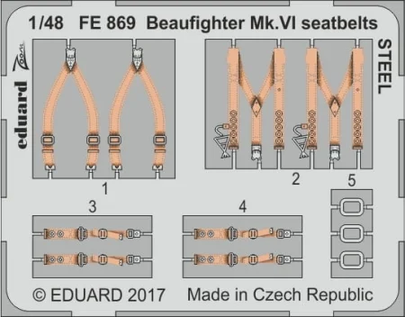 FE869.jpg