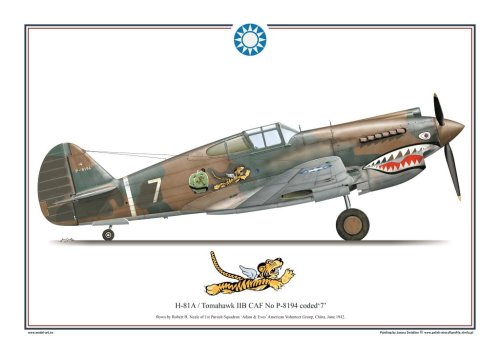 Go to product Exito 006 - Poster H-81A / Tomahawk II B CAF