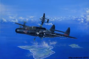 HOBBY BOSS 81731 - 1:48 P-61B Black Widow