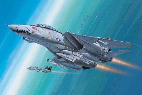 Go to product REVELL 64049 - 1:144 F-14D Super Tomcat