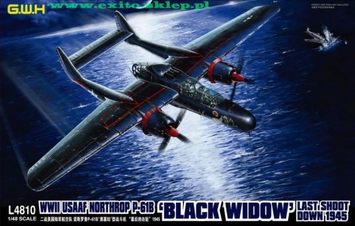 Go to product GREAT WALL HOBBY 4810 - 1:48 Northrop P-61B Black Widow - Last Shoot Down 1945