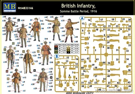 35146_6.jpg