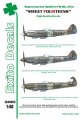 ed-005_spitfire_XIV_cover-48.jpg
