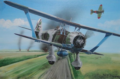Go to product FLY 72009 - 1:72 Henschel Hs 123 A