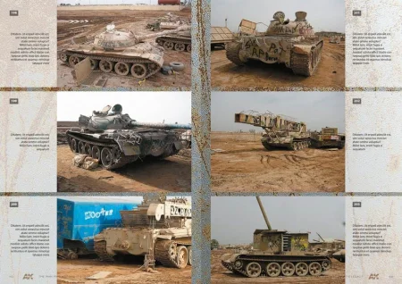 AK-291 (3).jpg