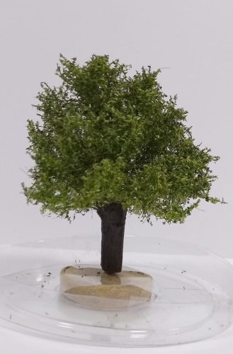 Go to product FREON WI1 - Willow - height approx. 6-8 cm