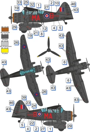 dora wings-72023 (2).jpg