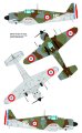dora wings-48019 (6).jpg