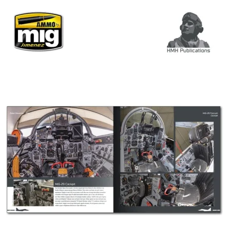 mig-29-fulcrum 3.jpg