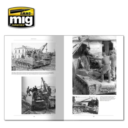 italenfelzug-german-tanks-and-vehicles-1943-1945-vol1-english9.jpg