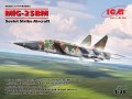icm-48905 (6).jpg