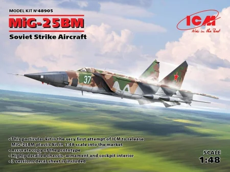 icm-48905 (6).jpg
