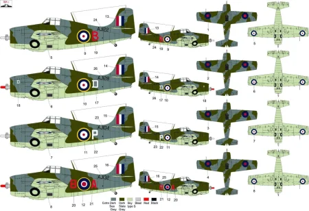 MNFDL72043  (2).jpg