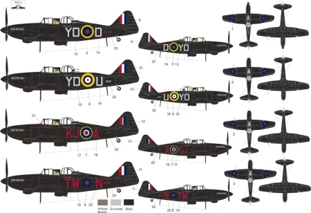MNFDL72033 2.jpg