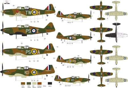 MNFDL72031  (2).jpg
