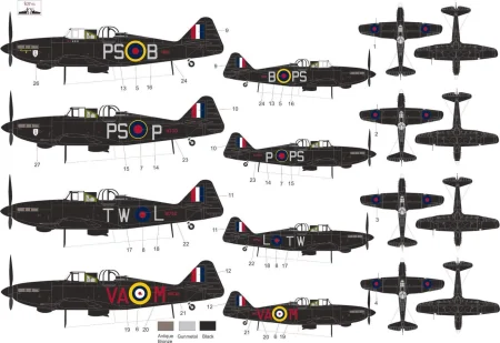 MNFDL72030  (2).jpg