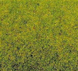 Go to product NOCH 08300 - Grass Spring Meadow 20 g