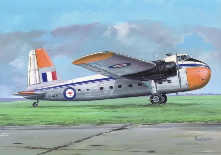 fly-72033 (1).JPG