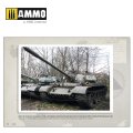 AMMO MIG-6032 (6).jpg
