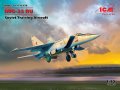 ICM-72176 (1).jpg