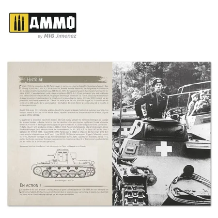 AMIG6083 (2).jpg