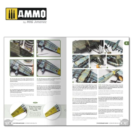 AMMOMIG-6144 (4).jpg