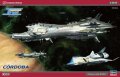 hasegawa-cw19.jpg
