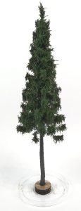 FREON SGPN1 - Mountain spruce - height: 28-30 cm