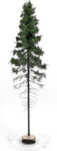 Go to product FREON SGPW1 - Mountain spruce, high trunk - height: 28-30 cm