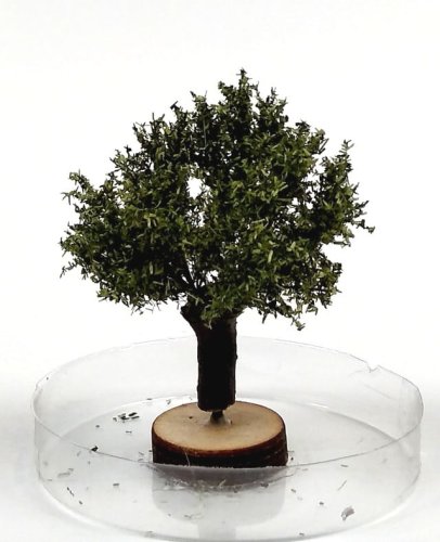 Go to product FREON WP2 - Willow tree - height: 3-4 cm