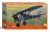 DORA WINGS-DW48027 (1).jpg