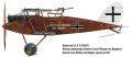 Mirage_481405_HalberstadtCLII_Cracow_HalbCracow.jpg