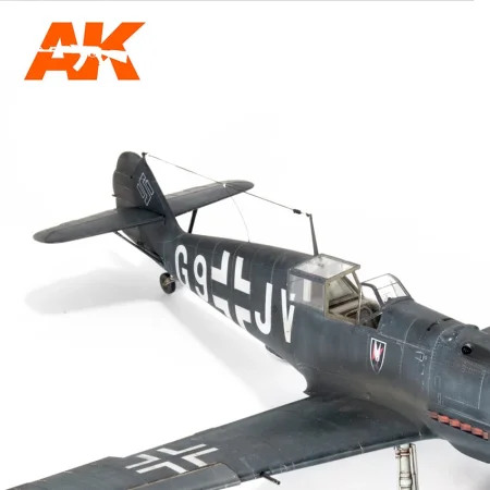 AK9137w3_.jpg