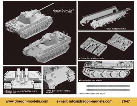 dragon-7647 (2).jpg