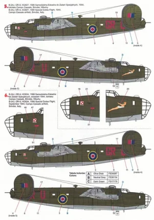 techmod-32074 (6).jpg
