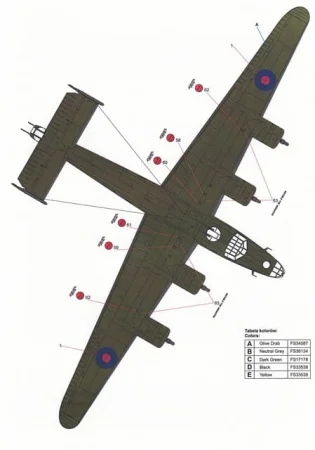 techmod-32074 (8).jpg