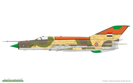 8231-a.jpg