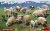 MINIART-38042-Sheep (1).jpg