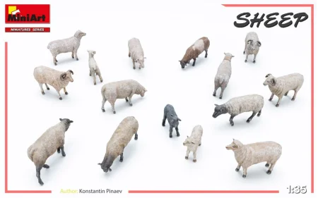 MINIART-38042-Sheep (5).jpg