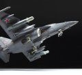 zvezda-4818 (5).jpg