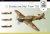 ARMA HOBBY-70026-Hurricane-Mk I Trop-Western Desert (2).jpg