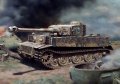 dragon-6484-tiger (1).jpg