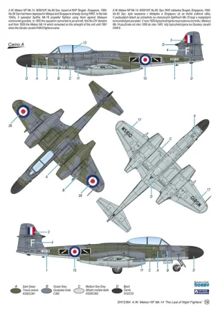 SPECIAL HOBBY-72364 (4).jpg
