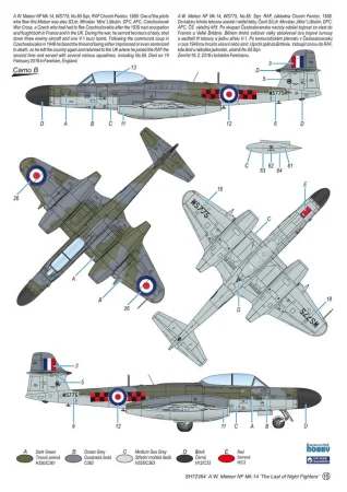 SPECIAL HOBBY-72364 (5).jpg