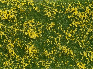 NOCH 07255 - Foliage mat yellow meadow