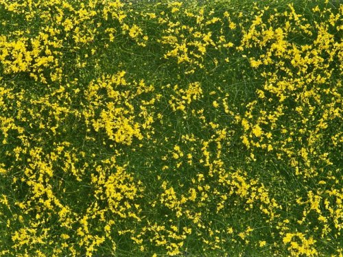 Go to product NOCH 07255 - Foliage mat yellow meadow